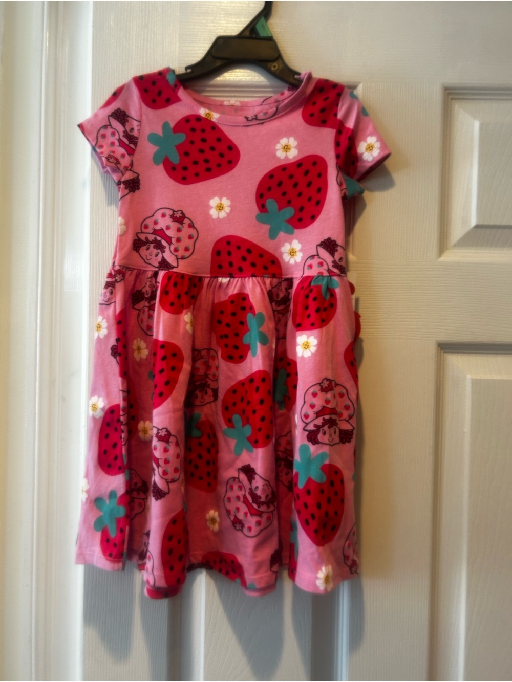 NWT Sz 3t strawberry shortcake dress